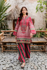 Gulshan Printed 2-Piece
